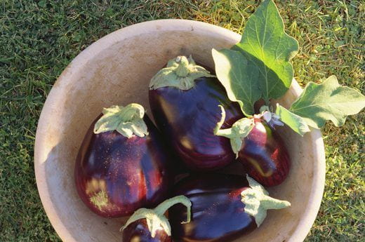 فروش بادمجان دلمه ای